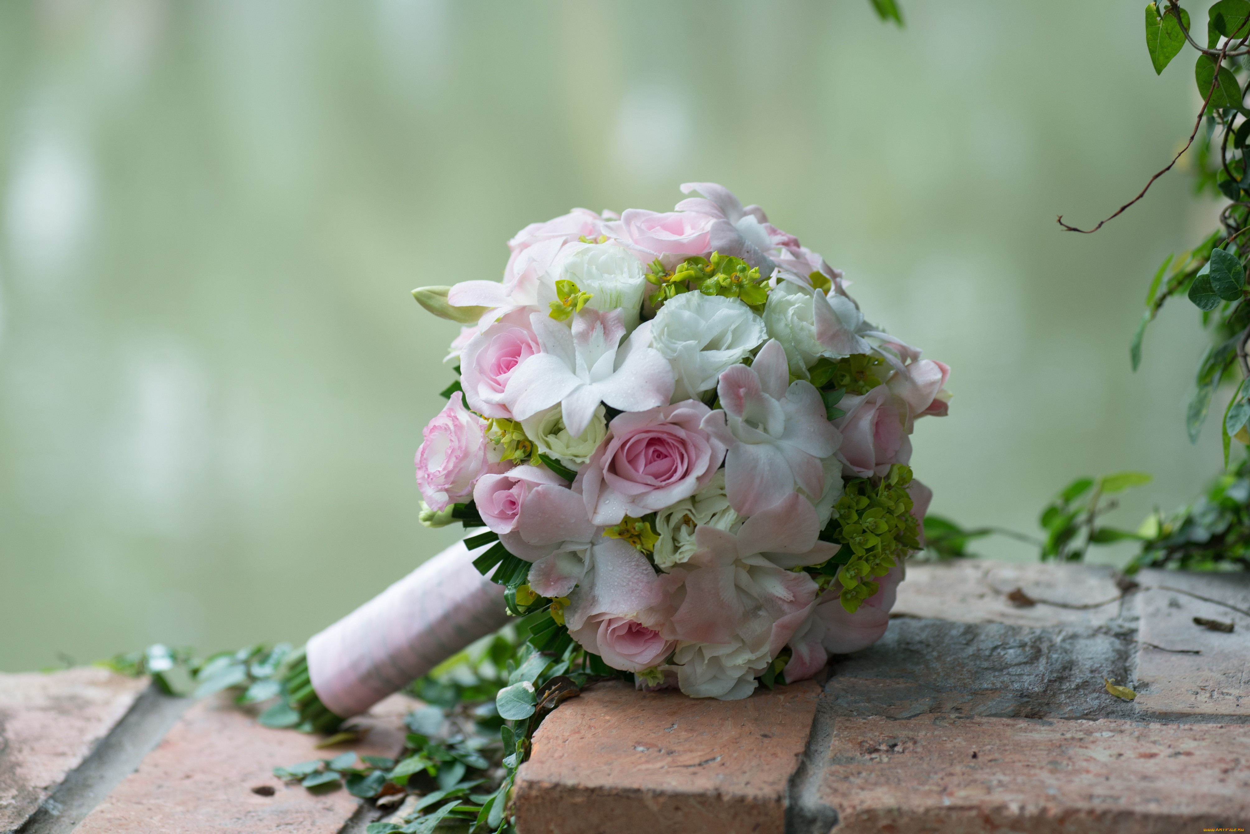 Цветок Букет Невесты